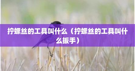拧螺丝的工具叫什么（拧螺丝的工具叫什么扳手）