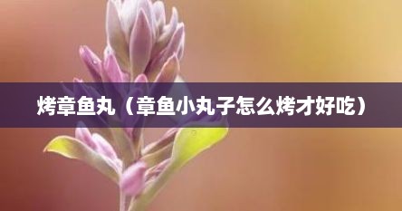 烤章鱼丸（章鱼小丸子怎么烤才好吃）