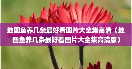 地图鱼养一缸好看吗（地图鱼养1条）