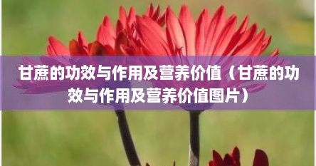 甘蔗的功效与作用及营养价值（甘蔗的功效与作用及营养价值图片）