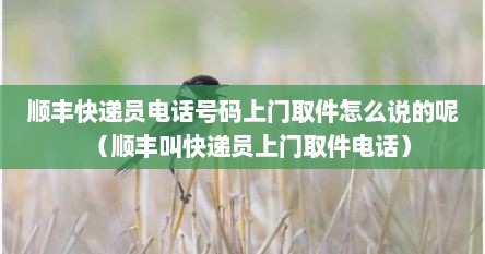 顺丰快递员电话号码上门取件怎么说的呢（顺丰叫快递员上门取件电话）