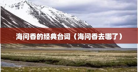 海问香的经典台词（海问香去哪了）