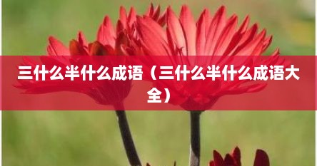 三什么半什么成语（三什么半什么成语大全）