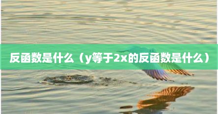 反函数是什么（y等于2x的反函数是什么）