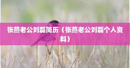 张燕老公刘磊简历（张燕老公刘磊个人资料）