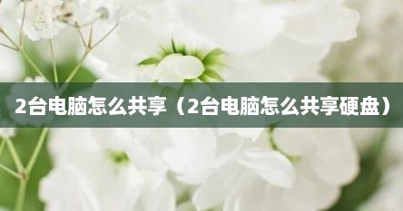 2台电脑怎么共享（2台电脑怎么共享硬盘）