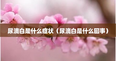 尿滴白是什么症状（尿滴白是什么回事）