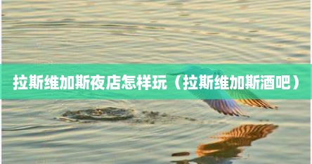 拉斯维加斯夜店怎样玩（拉斯维加斯酒吧）
