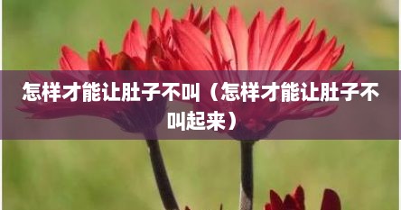 怎样才能让肚子不叫（怎样才能让肚子不叫起来）