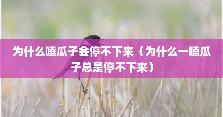为什么嗑瓜子会停不下来（为什么一嗑瓜子总是停不下来）
