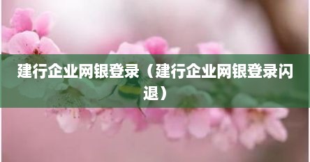 建行企业网银登录（建行企业网银登录闪退）