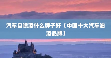 汽车自喷漆什么牌子好（中国十大汽车油漆品牌）
