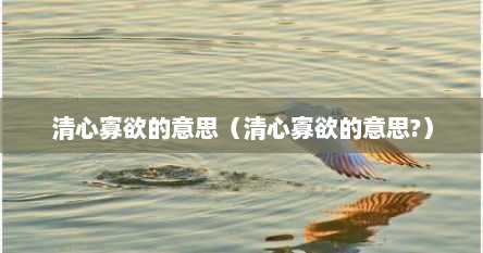 清心寡欲的意思（清心寡欲的意思?）