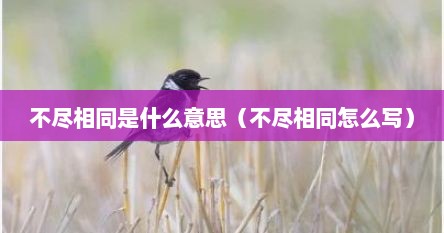不尽相同是什么意思（不尽相同怎么写）