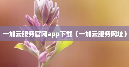 一加云服务官网查找手机定位在哪（一加服务app官网下载）
