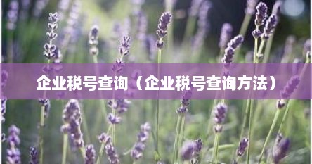 企业税号查询（企业税号查询方法）