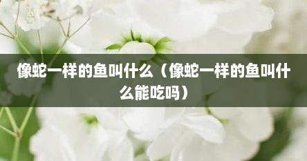像蛇一样的鱼叫什么(像蛇一样的鱼叫什么能吃吗)