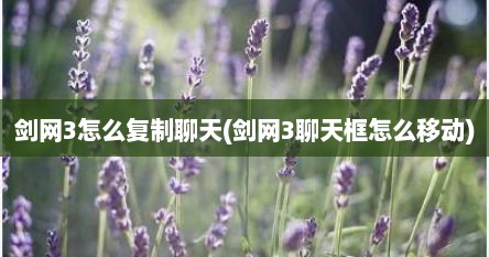 剑网3怎么复制聊天(剑网3聊天框怎么移动)
