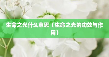 生命之光什么意思（生命之光的功效与作用）
