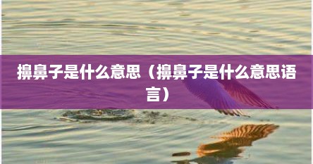擤鼻子是什么意思（擤鼻子是什么意思语言）