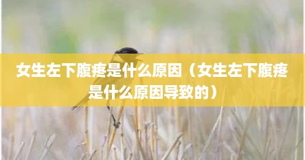女生左下腹疼是什么原因(女生左下腹疼是什么原因导致的)