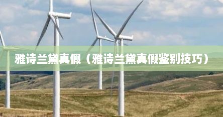 雅诗兰黛真假（雅诗兰黛真假鉴别技巧）