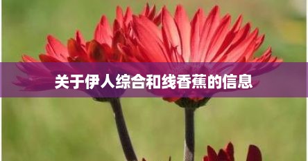 关于伊人综合和线香蕉的信息