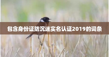 包含身份证防沉迷实名认证2019的词条