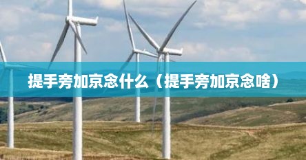 提手旁加京念什么（提手旁加京念啥）