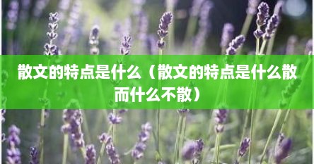 散文的特点是什么（散文的特点是什么散而什么不散）