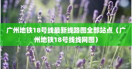 广州地铁18号线最新线路图全部站点（广州地铁18号线线网图）