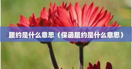 履约是什么意思（保函履约是什么意思）
