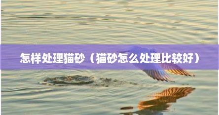 怎样处理猫砂（猫砂怎么处理比较好）