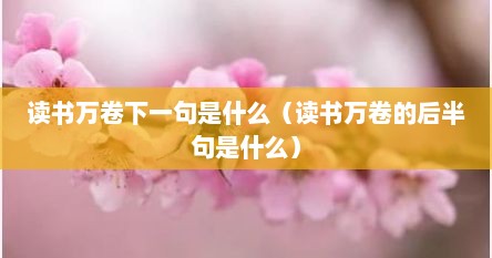 读书万卷下一句是什么（读书万卷的后半句是什么）