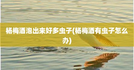 杨梅酒泡出来好多虫子(杨梅酒有虫子怎么办)