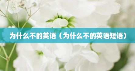 为什么不的英语（为什么不的英语短语）