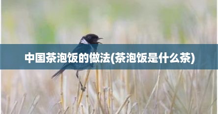 中国茶泡饭的做法(茶泡饭是什么茶)