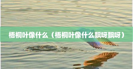 梧桐叶像什么（梧桐叶像什么飘呀飘呀）