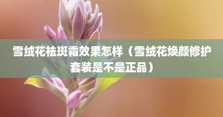 雪绒花祛斑霜效果怎样（雪绒花焕颜修护套装是不是正品）