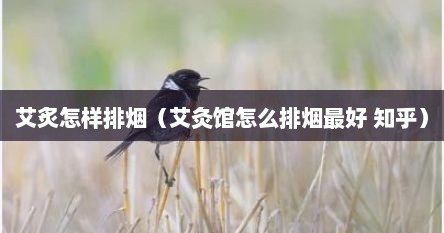 艾炙怎样排烟（艾灸馆怎么排烟最好 知乎）