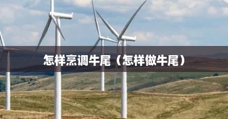 怎样烹调牛尾（怎样做牛尾）