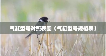 气缸型号对照表图（气缸型号规格表）
