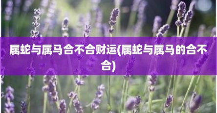 属蛇与属马合不合财运(属蛇与属马的合不合)