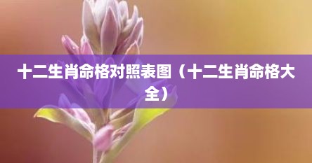 十二生肖命格对照表图（十二生肖命格大全）