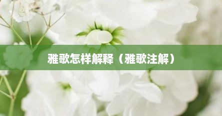 雅歌怎样解释（雅歌注解）