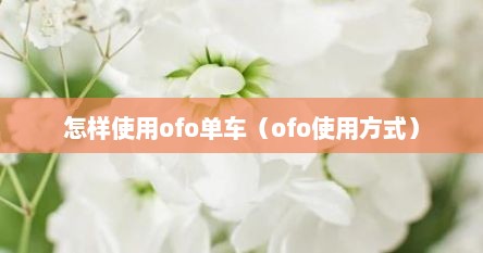 怎样使用ofo单车（ofo使用方式）
