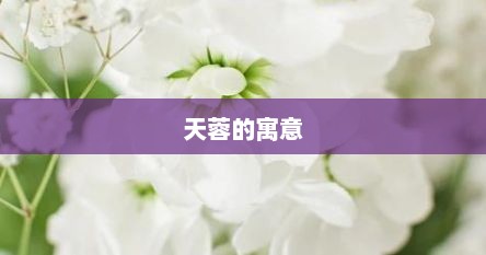 天蓉的寓意
