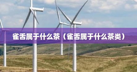 雀舌属于什么茶（雀舌属于什么茶类）