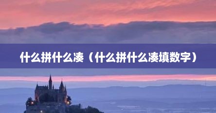 什么拼什么凑（什么拼什么凑填数字）