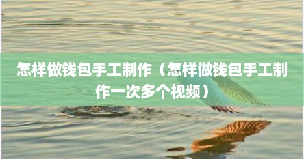 怎样做钱包手工制作（怎样做钱包手工制作一次多个视频）